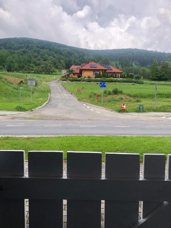 Apartament Deja Vu-Bieszczady Ustrzyki Dolne Bagian luar foto